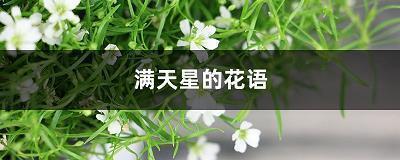解馆