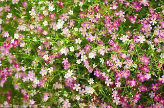 2021牛年春节走心祝福寄语