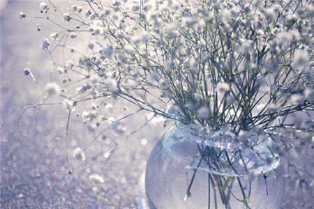 关于被抛弃的句子92句