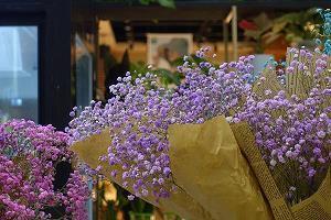 对自己无语的搞笑句子 表示对自己无语的说说(精选28句)