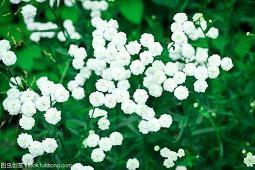 形容晚霞很美的句子 晚霞优美简短句子精选53句