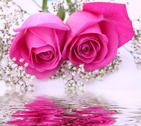 姐弟恋最感人的情话 姐弟恋表白句子精选推荐34句