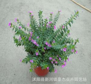 书写青春的励志句子 青春励志的句子(精选25句)