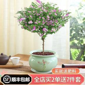 发朋友圈激励人的好句子 每日一句励志名言汇总38句