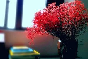 心里不舒服委屈的说说 有时候很累很想放弃