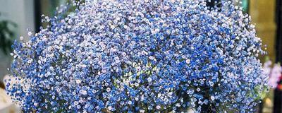 晚安说说2021最新版摘录15句