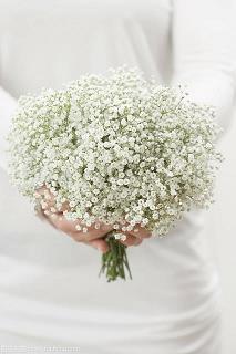 关于二十四节气大暑古诗词