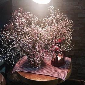 感恩的简短文案句子 适合感恩节的文案