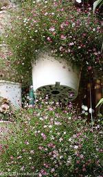 最近很火的空间说说语录46句