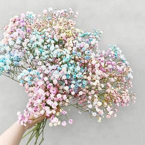 小暑发朋友圈的说说 小暑节气文案合集55句