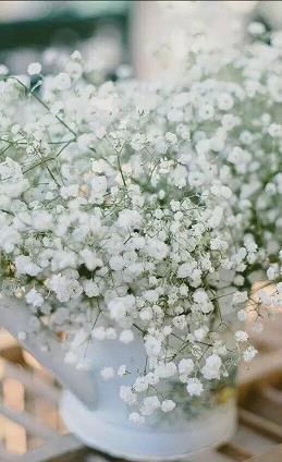 2021重阳节祝福问候语(精选98条)