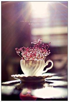 2021小学生牛年新年祝福语