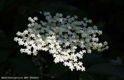 挽回不到情感的伤感说说汇编77句