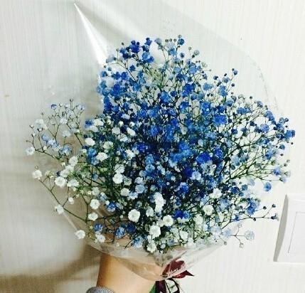 愚人节必备的句子 愚人节文案走心笑死人
