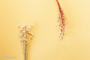 2020鼠年给老师贺卡祝福语