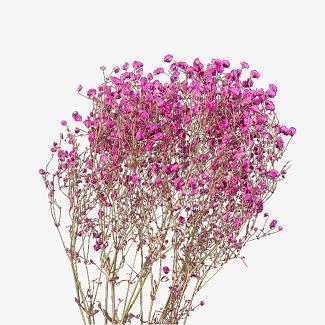 2021春节大年初一拜年祝福语