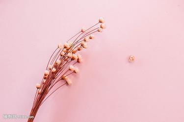 寒冷的冬天温暖人心的句子精选(精选52句)