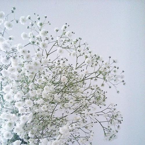 2021高考前祝福孩子的话语 2021高考对孩子鼓励的话简短