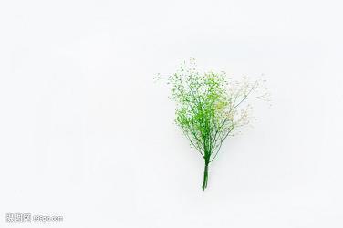 想安静不受打扰的句子 想安静的生活说说心情