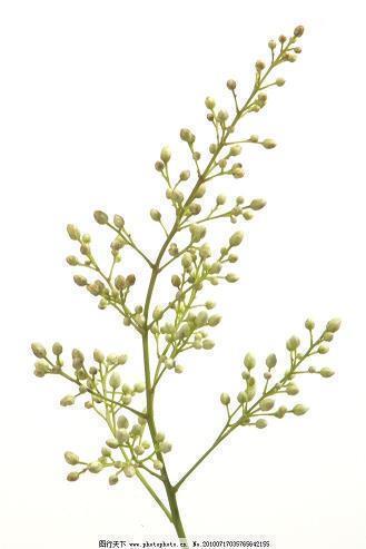 安慰人心情不好的话 安慰心烦人的话语大全