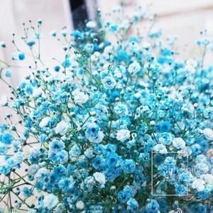 2021升学鼓励祝福语(精选77条)