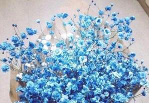 万圣节朋友圈文案搞笑版(精选76句)