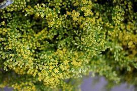 2020送给情人的祝福语