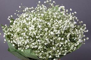 2021建党百年祝福百字