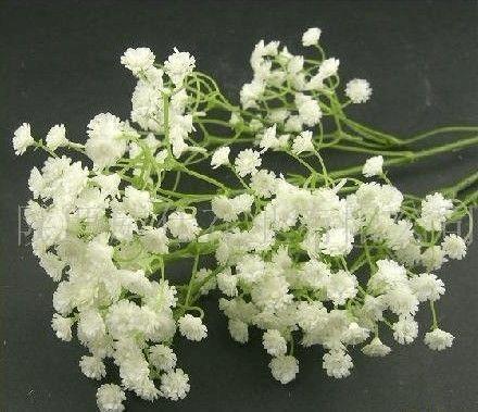 2021春节祝福语送给同学