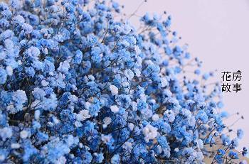 描写景色的句子摘抄 写景的短句子摘抄大全