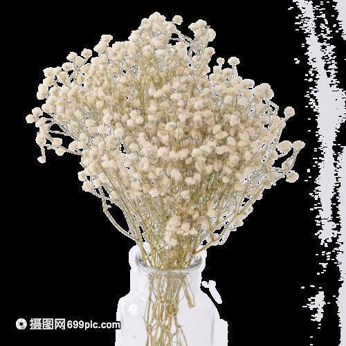 与闺蜜的开心的句子