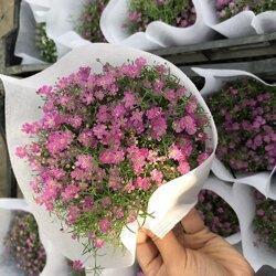 形容看破红尘的佛语 佛系语录看破红尘(精选49句)