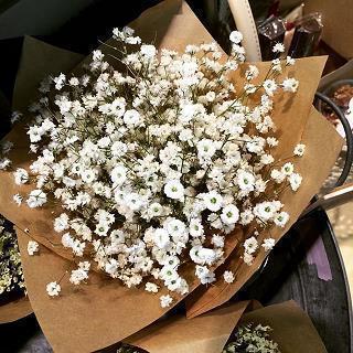 2021新春佳节拜年祝福语文案