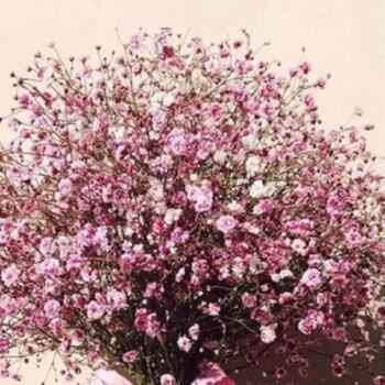 2020给老公生日祝福语