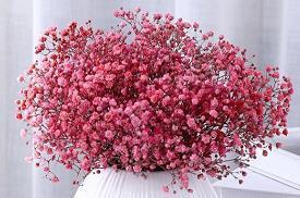 节支