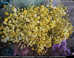 对女友的失望的句子