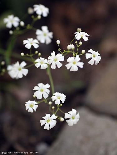 2021端午节送给客户暖心祝福寄语精选75句