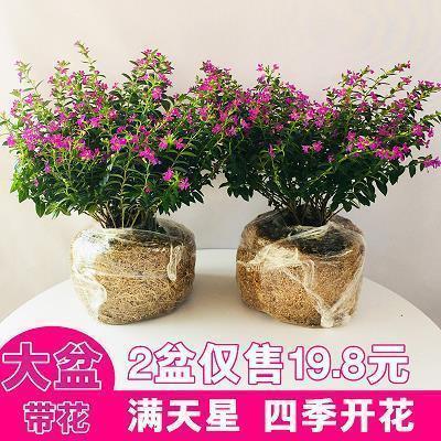 2021祝福建党100周年语录