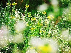 2021牛年辞旧迎新的句子