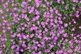 2020简短的教师节祝福语