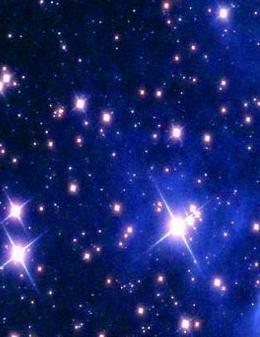 2021小学开学寄语