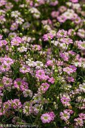 关于情人节说说感动短语(精选64句)