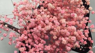 对你对未来很失望的句子