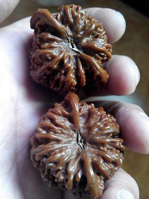 佛经中最有禅意的句子推荐大全,有关句子大全好句摘抄摘录15句