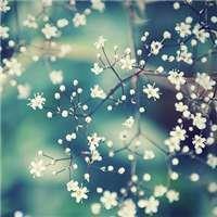 2021元宵佳节暖心的祝福语