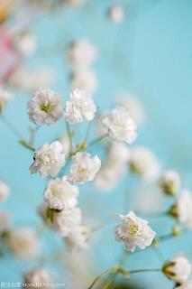 2021腊八节朋友圈祝福语文案快乐说说