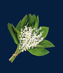 对爱情和友情失望的句子