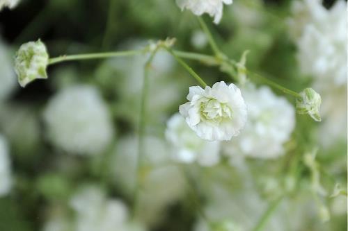 2021建党100周年七一短信祝福语