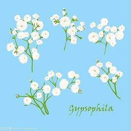 有关棉花糖的说说 关于棉花糖的说说(精选23句)