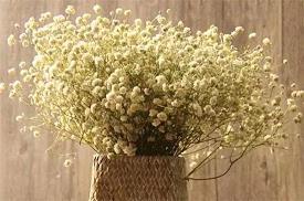 想念一个人的暖心说说简短